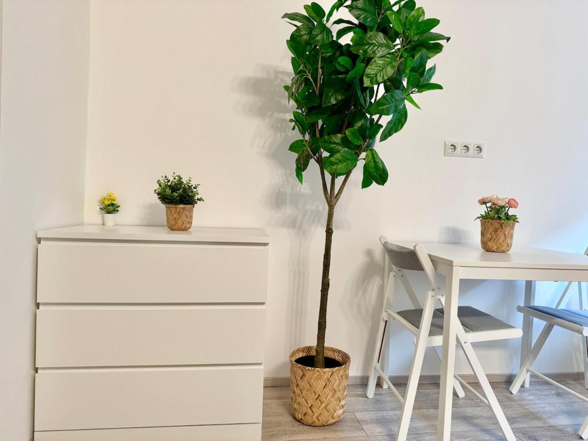 Apartment Prime Near Schoenbrunn Castle Wien